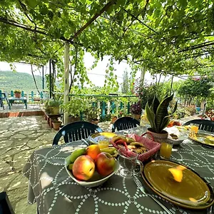 Boungainvillea , Himarë Albanie
